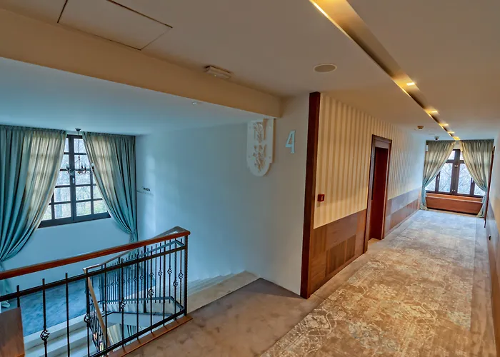 Heritage Hotel Krone Hotel